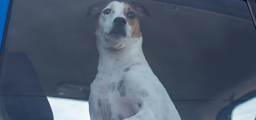 Car Lockout Solutions in Holtville, California